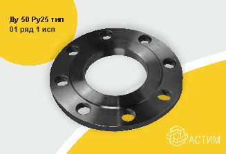 Фланец сталь плоский Ду 50 Ру25 тип 01 ряд 1 исп. B ГОСТ 33259-2015, DN 50